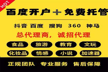 SEM推广代运营：成功案例解析与策略分享